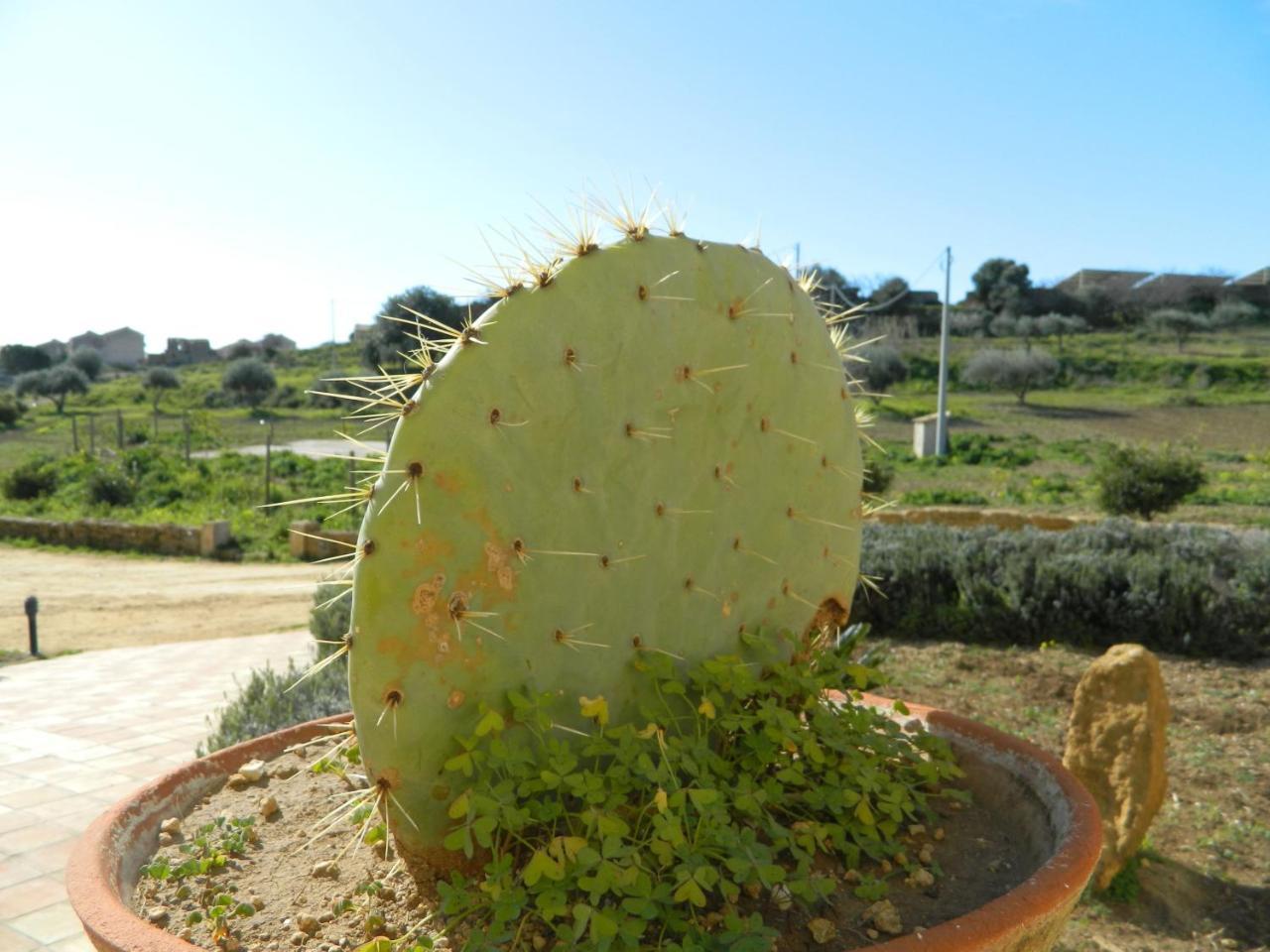 Agriturismo Passo Dei Briganti Agrigento Exterior photo